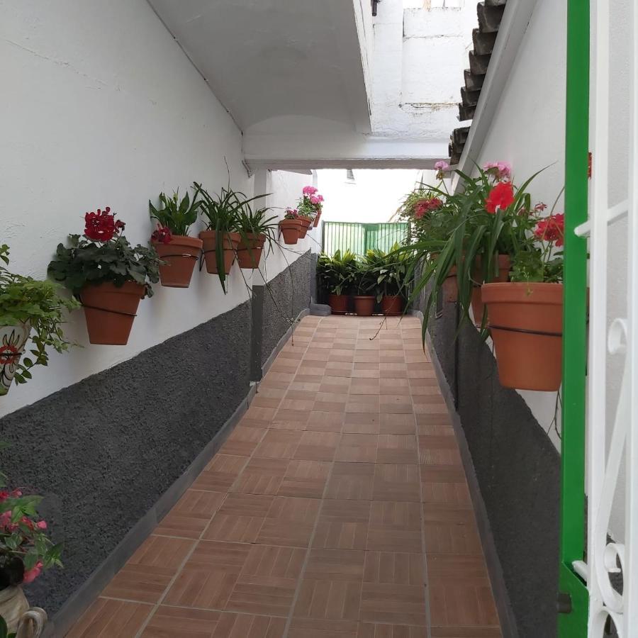 Vivienda Rural Rio Cerezuelo Guest House Cazorla Bagian luar foto